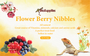 Flower berry nibble biosupplies omnivore food
