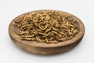 Dried Mealworms chicken food treat finch bird bearded dragon lizard turtle