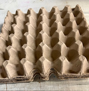Egg Crate - 30 pocket 5 trays