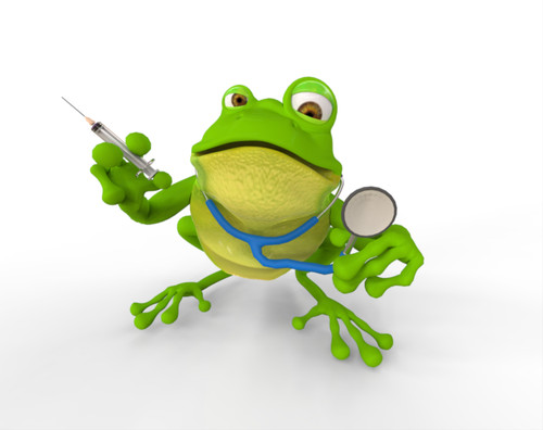Fast Five Facts - Reptile First Aid