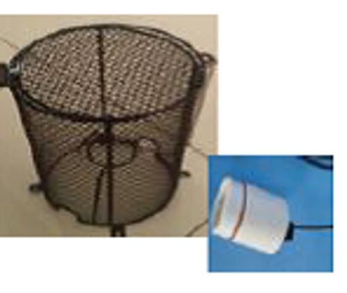 Mesh Light Cage with Light Fitting BWMC1220