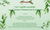 3 in 1 Calcium, Vitamins & Gut Load Reptile Essentials Starter kit