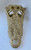 Crocodile Jaw