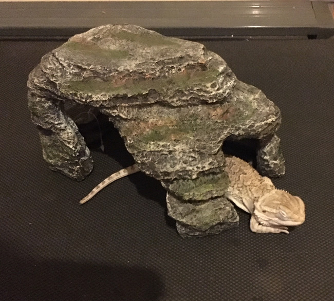 Rock Cave Hide