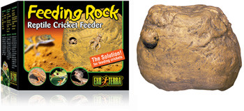 Exo Terra Cricket Feeder Rock