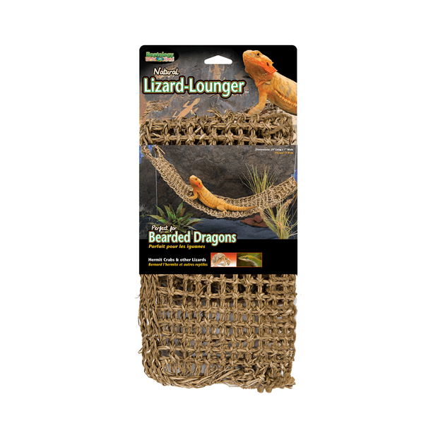 lizard lounger