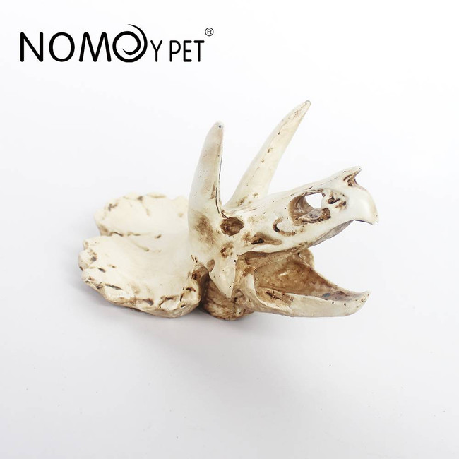 Triceratops Skull ornament
