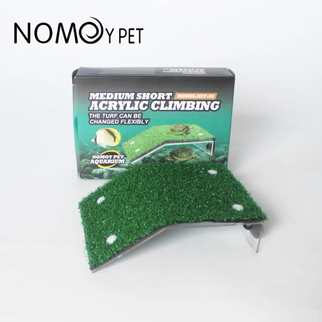 Turtle ramp - medium