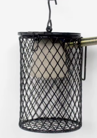 Light cage for mini globes