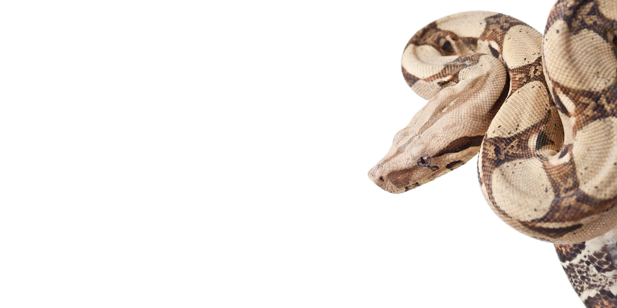 Accessories image