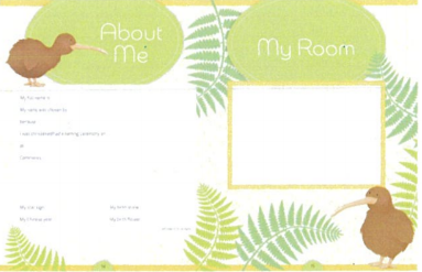 the kiwi baby record book