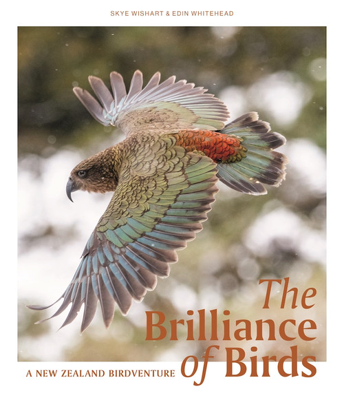 The Brilliance of Birds: A New Zealand Birdventure