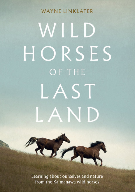Wild Horses of the Last Land by Wayne Linklater