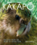 Kakapo: Rescued From the Brink of Extinction