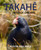 Takahe: Bird of Dreams