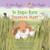 Run, Rabbit: Treasure Hunt / E Oma, Rapeti: Te Rapu Kura (Bilingual Edition) 