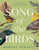Song of the Birds: The history and meaning of New Zealand's native birds, by the bestselling author of The Meaning of Trees