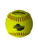 Wilson Georgia Stamped Softballs (A9011GHSA)