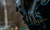 ProForce Shoulder Pads (PF11)