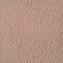 Quail Tan