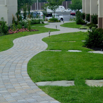 Backyard garden path