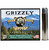 GRIZZLY AMMUNITION BEAR LOAD 45-70 +P 460gr HARD CAST WFNGC