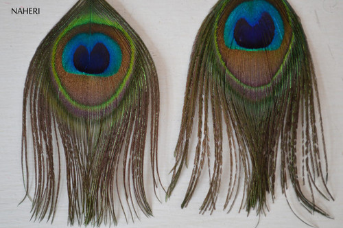 Electric Trance Feather Earrings - n-dizajn