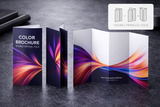 Double Parallel Fold  Brochures