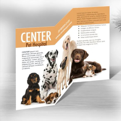 Z-Fold Brochure Printing | Custom Sizes & Premium Options