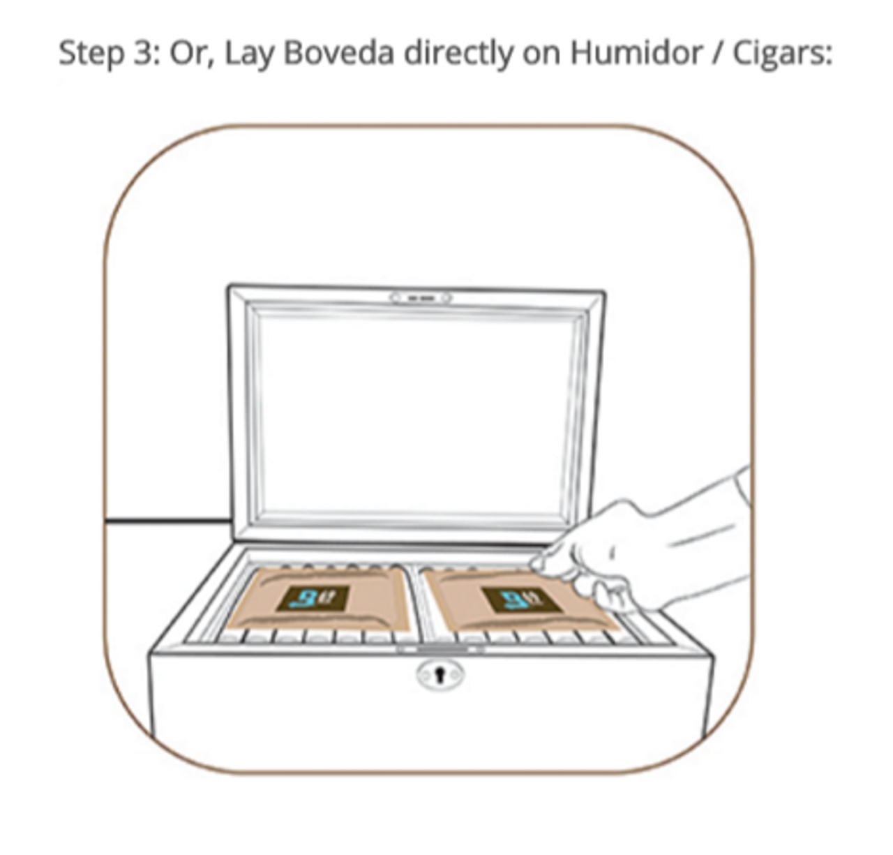 Boveda humidifier 72% (big, 60g) | Lowest price | 123 Reviews