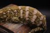 MoFl82325 MALE