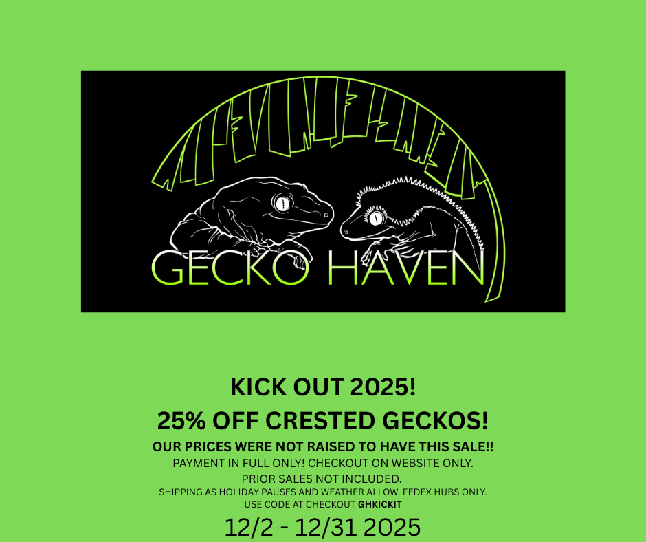kick-out-2025-25-off-crested-geckos-our-prices-were-not-raised-to-have-this-sale-payment-in-full-only-checkout-on-website-only.-prior-sales-not-included.-shipping-as-holiday-pauses-and-weath.png