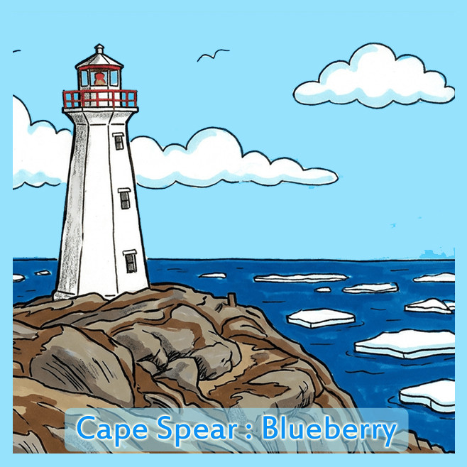 Cape Spear : Blueberry coconut mylk chocolate bar