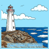 Cape Spear : Blueberry coconut mylk chocolate bar