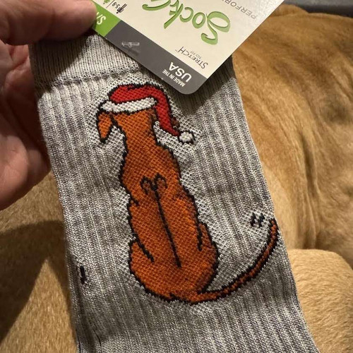 ridgeback socks