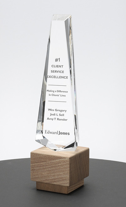 Crystal Tower of Excellence Award AAELM83