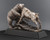 bronze bull and bear trophy