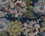 Floral Woven Rayon Challis Fabric - Challi Ptf1042 Navy-Rust-Olive