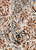 Animal Knits Lace Fabric- Lace PrtA123 Taupe