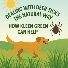 Dealing with Deer Ticks the Natural Way: How Kleen Green Can Help