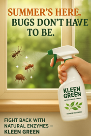 Beat the Summer Bugs Naturally: A Chemical-Free Way to Keep Your Home Fresh