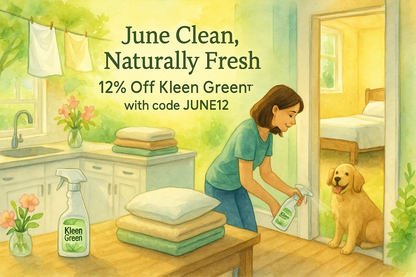 June Is the Month to Clean Smart, Live Fresh, and Get Ahead of Summer Messes