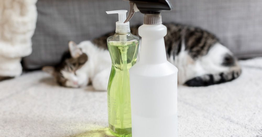 Natural Flea Treatment for Pets and Home - What Actually Works