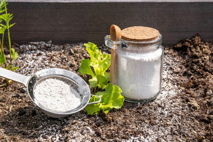 Avoid Needless Suffering With Non-Toxic Pest Prevention That Works