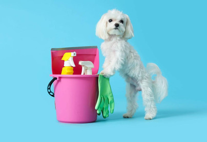How to Find Pet-Safe Cleaning Products That Work