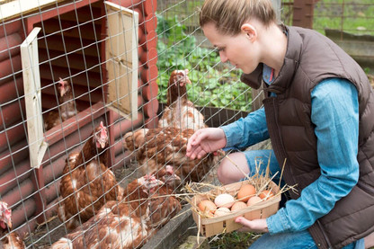 What Can Farmers and Pet Owners Do to Protect Their Animals From Pests?