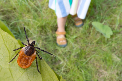 What Is Morgellons Disease? Signs, Symptoms, and Treatments - Natural Ginesis