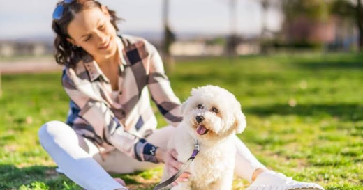 How To Protect Pets From Mites And Fleas Naturally - Year-Round Prevention