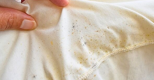 What Kills Dust Mites Instantly - Proven Methods for a Cleaner Home