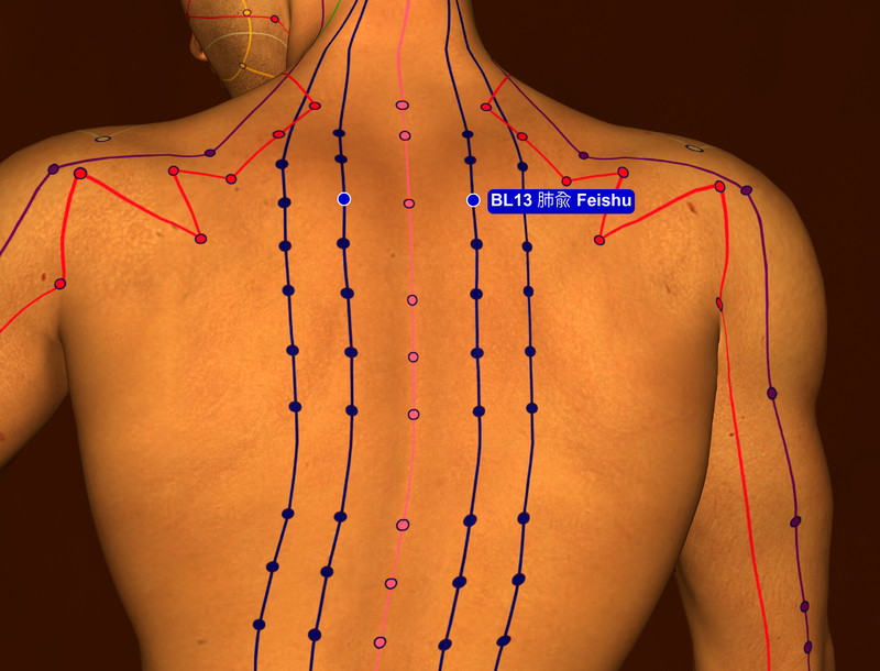 acupuncture channels of the neck